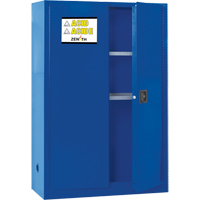 Armoire pour liquides corrosifs, 45 gal., 43" x 65" x 18" Advanced Consulting and Training Ltd.
