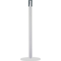 Poteaux receveurs marins, Hauteur de 38", Blanc Advanced Consulting and Training Ltd.