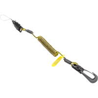 Sangle d'amarrage spirale pour outil, Spirale, Attache/boucle Advanced Consulting and Training Ltd.