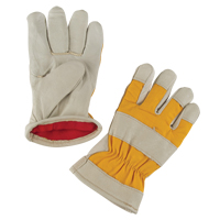 Premium Winter-Lined Work Gloves, Small, Grain Pigskin Palm, Foam Fleece Inner Lining Advanced Consulting and Training Ltd.