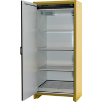 Armoire d'entreposage 30 minutes s&eacute;curitaire et conforme &agrave; la norme EN, 30 gal., 1 Porte(s), 34,02" La x 76,65" h x 24,21" p Advanced Consulting and Training Ltd.