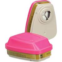 6000 Series Respirator Cartridges, Gas/Vapour Cartridge, Multi-Gas/Vapour/P100 Advanced Consulting and Training Ltd.