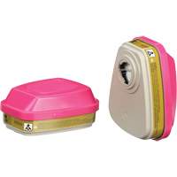 6000 Series Respirator Cartridges, Gas/Vapour Cartridge, Multi-Gas/Vapour/P100 Advanced Consulting and Training Ltd.
