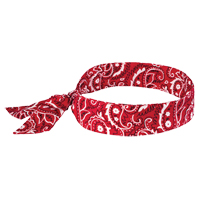 Chill-Its&reg; 6700 Cooling Bandanas, Red Advanced Consulting and Training Ltd.