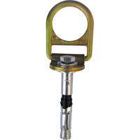 Concrete D-Ring Anchors, Concrete/D-Ring, Permanent/Temporary Use Advanced Consulting and Training Ltd.