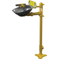 Postes de douche oculaire/faciale Halo, Installation Socle, Bol Acier inoxydable Advanced Consulting and Training Ltd.
