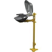 Postes de douche oculaire/faciale Halo, Installation Socle, Bol Acier inoxydable Advanced Consulting and Training Ltd.