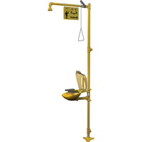 Combinaison de douche d'urgence & douche oculaire Halo Advanced Consulting and Training Ltd.