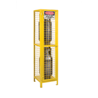 Armoires pour cylindres &agrave; gaz, nbre de bouteilles: 2, 17" , 17" , 69" , Jaune Advanced Consulting and Training Ltd.