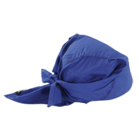 Chill-Its&reg; 6710 Cooling Triangle Hats, Blue Advanced Consulting and Training Ltd.