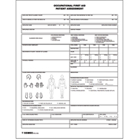 Patient Assessment Chart Advanced Consulting and Training Ltd.