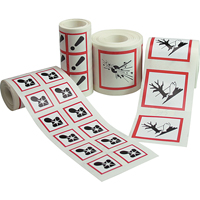 GHS Pictogram Labels, Paper, Roll, 4" L x 4" W Advanced Consulting and Training Ltd.