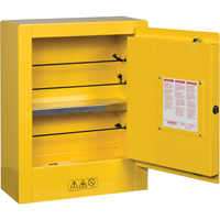 Mini-armoires de s&eacute;curit&eacute; Sure-Grip EX pour produits inflammables, 2 gal., 1 Porte(s), 17" La x 22" h x 8" p Advanced Consulting and Training Ltd.