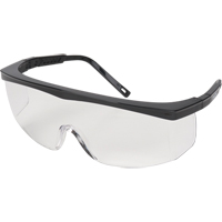 Z100 Series Safety Glasses, Clear Lens, Anti-Scratch, Meets/Exceeds CSA Z94.3 Advanced Consulting and Training Ltd.