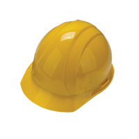 Trousses d'&eacute;PI de d&eacute;marrage pour travailleuses Advanced Consulting and Training Ltd.