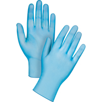 Medical-Grade Disposable Gloves, Small, Vinyl, 4.5-mil, Powder-Free, Blue, Class 2 Advanced Consulting and Training Ltd.