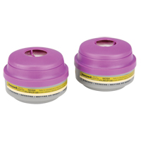 Cartouches pour respirateur s&eacute;rie N de North, Cartouche gaz/vapeur, M&eacute;thylamine Advanced Consulting and Training Ltd.