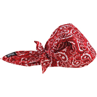 Bandeaux en triangle 6710CT de refroidissement en tissu de serviette Chill-Its, Rouge Advanced Consulting and Training Ltd.