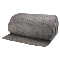 Absorbants pour zones de circulation &eacute;lev&eacute;e, Lourd, 150' lo x 30" la, Absorption 60 gal. Advanced Consulting and Training Ltd.