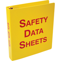 SDS Binder Advanced Consulting and Training Ltd.
