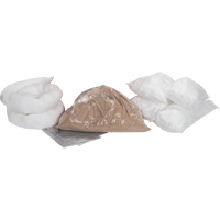 Trousse de rechange pour v&eacute;hicule de service, 10 gallons, Huile seulement Advanced Consulting and Training Ltd.