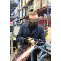 Z2300 Series Safety Shield Goggles, Clear Lens, Anti-Fog, Indirect Vent Advanced Consulting and Training Ltd.
