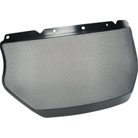 V-Gard&reg; Visor for General Purpose Applications Advanced Consulting and Training Ltd.