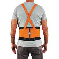 ProFlex 100HV Economy Spandex Hi-Vis Back Support Brace, Elastic, X-Small Advanced Consulting and Training Ltd.