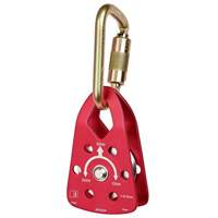 Poulie pour espace confin&eacute; PRO Advanced Consulting and Training Ltd.