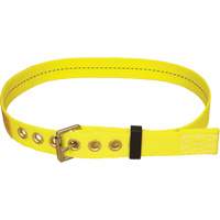 Ceinture avec boucle &agrave; ardillon Delta Advanced Consulting and Training Ltd.