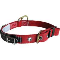 Ceinture avec boucle &agrave; ardillon Advanced Consulting and Training Ltd.