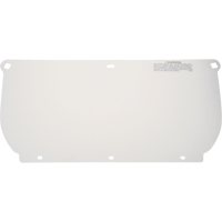 Visi&egrave;re, Polycarbonate, Teinte Transparent Advanced Consulting and Training Ltd.