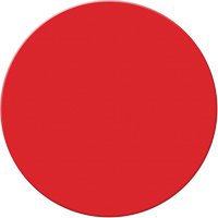 Armor Stripe Lean/5S Markers, Circle, 6" L x 6" W, Red, Plastic Advanced Consulting and Training Ltd.