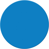 Armor Stripe Lean/5S Markers, Circle, 6" L x 6" W, Blue, Plastic Advanced Consulting and Training Ltd.