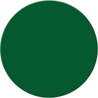 Armor Stripe Lean/5S Markers, Circle, 6" L x 6" W, Green, Plastic Advanced Consulting and Training Ltd.
