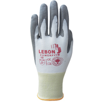 Gants r&eacute;sistants &agrave; la coupe PowerFit Lebon, Taille Grand/9, Calibre 13, Rev&ecirc;tement Polyur&eacute;thane, Enveloppe en Poly&eacute;thyl&egrave;ne, ASTM ANSI niveau A2/EN 388 niveau B Advanced Consulting and Training Ltd.