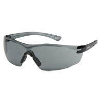 Lunettes de s&eacute;curit&eacute; s&eacute;rie Z700, Lentille Grise/fum&eacute;e, Anti-&eacute;gratignures, R&eacute;pond ou surpasse la norme CSA Z94.3 Advanced Consulting and Training Ltd.