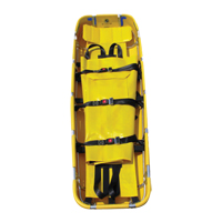Complete Basket Stretcher Advanced Consulting and Training Ltd.