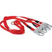 Dynamic Bridle for Wire Basket Stretcher Advanced Consulting and Training Ltd.