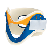 Dynamic Collar Advanced Consulting and Training Ltd.
