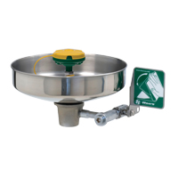 Poste de douche oculaire/faciale, Bol Acier inoxydable Advanced Consulting and Training Ltd.