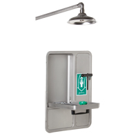 Eye/Face Wash and Shower, Ceiling-Mount Advanced Consulting and Training Ltd.