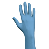 Gants N-Dex 7500PF, Petit, Nitrile, 4 mils, Sans poudre, Bleu Advanced Consulting and Training Ltd.