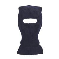 Balaclava Advanced Consulting and Training Ltd.