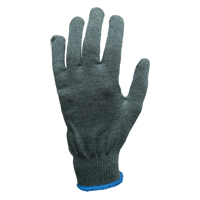 Doublure de gant thermique EXTREME, Rhovyl, Moyen Advanced Consulting and Training Ltd.