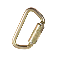 Mousqueton, Acier, Capacit&eacute; 5000 lb Advanced Consulting and Training Ltd.