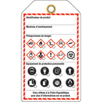 Workplace Tags, Cardstock, 3-3/8" W x 5-3/4" H, French Advanced Consulting and Training Ltd.