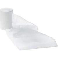 Dynamic Gauze Bandages, Roll, 15' L x 1" W, Sterile, Medical Device Class 1 Advanced Consulting and Training Ltd.