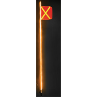 Safety Whip&reg; Heavy-Duty LED Whips, Hitch Mount, 10 High, Orange with Reflective Advanced Consulting and Training Ltd.