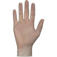 Disposable Gloves, Small, Vinyl, 4-mil, Powder-Free, White Advanced Consulting and Training Ltd.